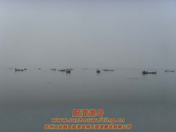 (yng)κæµ˂DƬʮһ