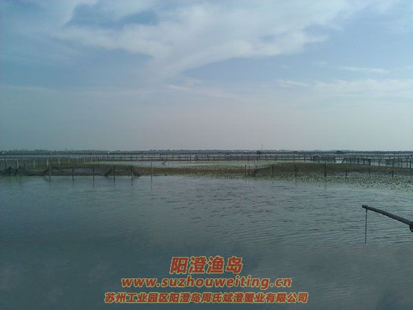 陽光明媚陽澄湖圖片二